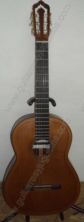 Fotos de guitarra de doble tapa 1