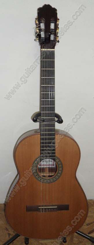 Guitarra de Corazón de Paloescrito modelo DGCP imagen 1