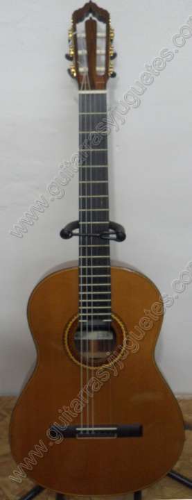 guitarra de palo de rosa modelo gro 1