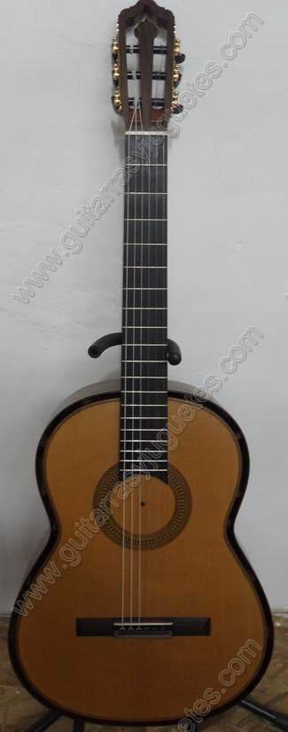 Guitarra de Palo de rosa modelo GGPRSB sin boca imagen 1