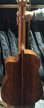 Guitarra-modelo-DGCP-con-curva-foto-2