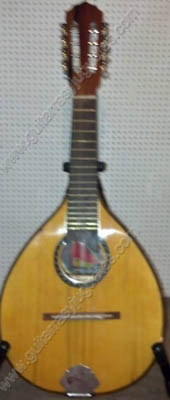 Mandolina-modelo-PECS-1