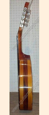 Mandolina-modelo-PECS-3
