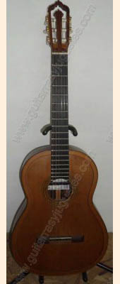 Fotos de guitarra de doble tapa 1