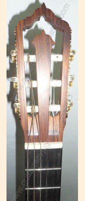 Fotos de guitarra de doble tapa 6