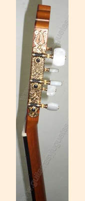 Fotos de guitarra de doble tapa 7