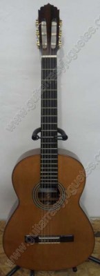 guitarra de corazon de paloescrito groa 1