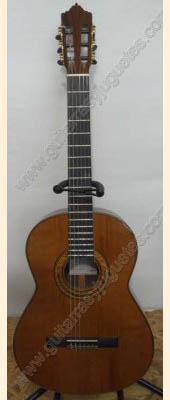 Guitarra de palo de rosa modelo DGC imagen 1