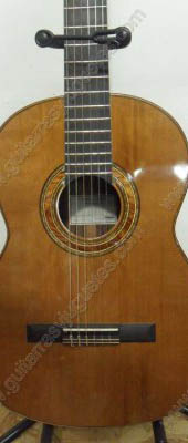 Guitarra de palo de rosa modelo DGC imagen 2