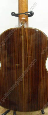 Guitarra de palo de rosa modelo DGC imagen 4
