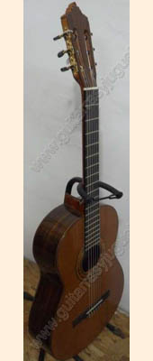 Guitarra de palo de rosa modelo DGC imagen 5