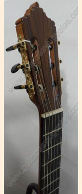 Guitarra de palo de rosa modelo DGC imagen 6
