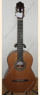 Guitarra de Corazón de Paloescrito modelo DGCP imagen 1