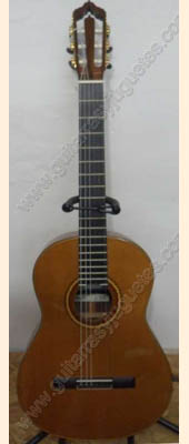guitarra de palo de rosa modelo gro 1