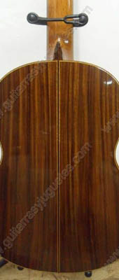 guitarra de palo de rosa modelo gro 4
