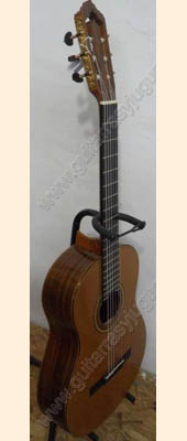 guitarra de palo de rosa modelo gro 5
