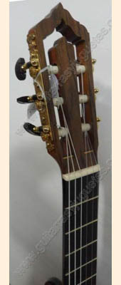 guitarra de palo de rosa modelo gro 6