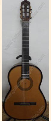 Guitarra de Palo de rosa modelo GGPRSB sin boca imagen 1