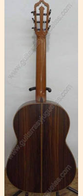 Guitarra de Palo de rosa modelo GGPRSB sin boca imagen 4