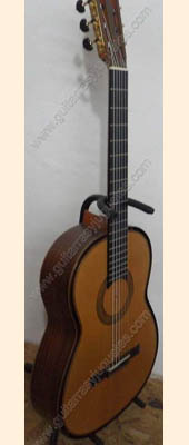 Guitarra de Palo de rosa modelo GGPRSB sin boca imagen 7