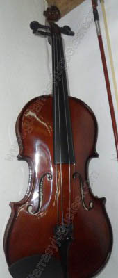 Viola de madera de maple reforzada 2
