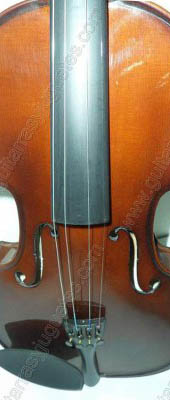 Viola de madera de maple reforzada 3